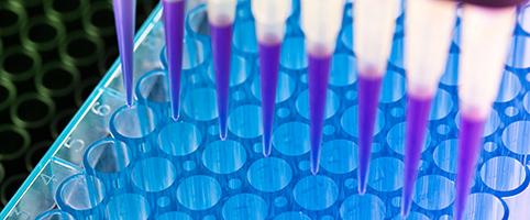 Scientist working in lab with test tubs l CNA Insurance