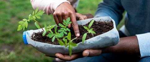 Volunteer working with recycled seedling trays | CNA Insurance